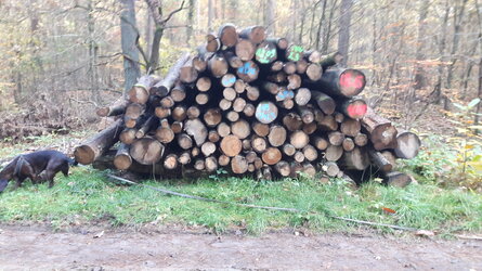 20231113_140552.jpg