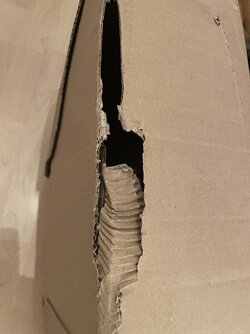 IMG_1970.jpeg
