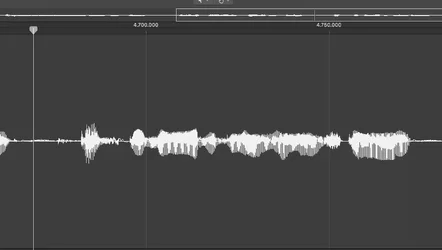 Screen recording.webp