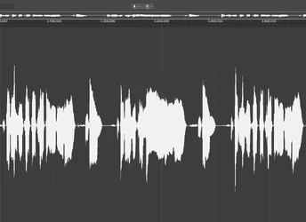 Recording.webp Recording.webp
