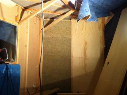 IMG_2923.jpg