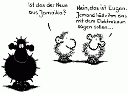 Sheepworld - Der neue aus Jamaika.gif