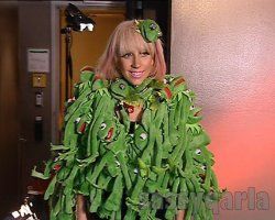 lady-gaga-kermit-the-frog.jpg