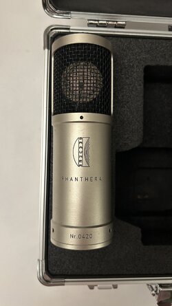 Brauner Phanthera