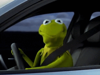 kermy.gif