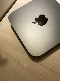 IMG_1245.jpeg