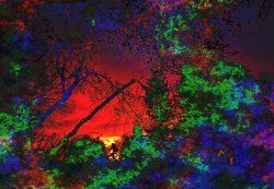 IMG_5483    1.jpg