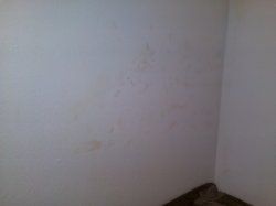 WP_000031.jpg