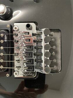 RAR LTD MH-53(ESP) E-Gitarre Floyd-Rose Tremolo Hartschalenkoffer