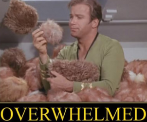 Screenshot 2025-04-16 at 12-36-33 kirk meme - Google Suche.png
