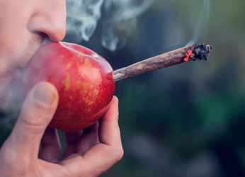 Screenshot 2025-04-29 at 13-17-37 apple weed meme - Google Suche.png