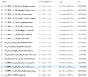 2025-10-19 19_05_16-Steinberg_Libraries – Datei-Explorer.webp
