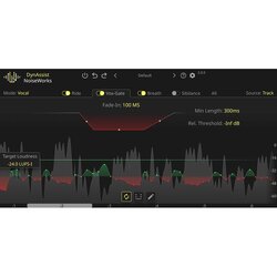 NoiseWorks DynAssist Lite