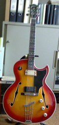 HÃ¶fner Jazz Guitar.jpg