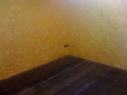 IMG_1055.jpg