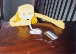 Flat Eric.jpg
