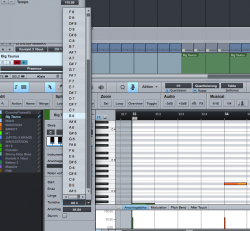 Inspektor im Musik-Editor.png