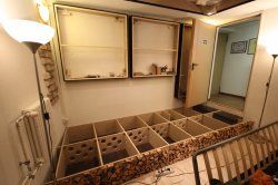 IMG_7147 1024x683.jpg