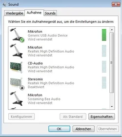 rinmic.webp