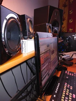 WP_000270.webp