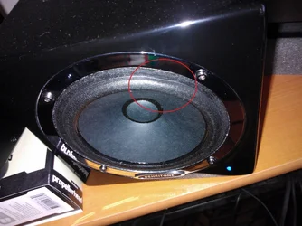WP_000253.webp