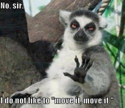 no-sir-i-do-not-like-to-move-it-move-it.jpg