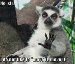no-sir-i-do-not-like-to-move-it-move-it.jpg