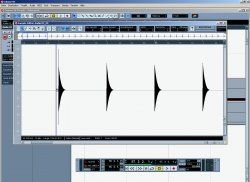 Sample-Editor.jpg