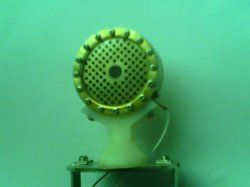 IMG0028A.jpg