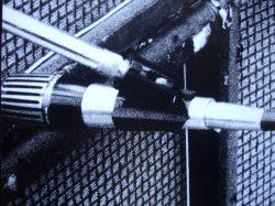 Unbekanntes Mikro.jpg
