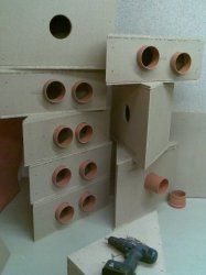 Bild146.jpg