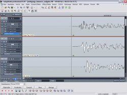 homerec_aufg_wolfi.jpg