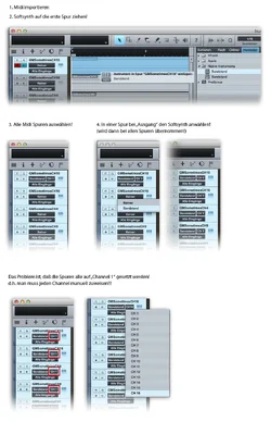 comp.webp