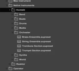 Preset Verwaltung.webp