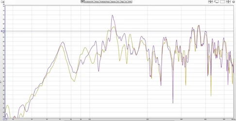 gold mit Sonorock.webp