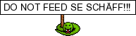SchÃ¤ff.png