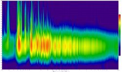 spectrogram li + re 1000 ms.jpg