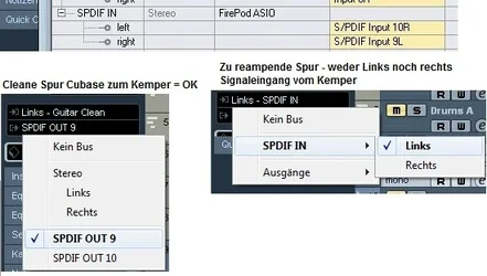 Cub2.webp