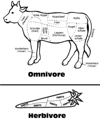 fleisch_vs_pflanze.png