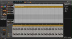 Bitwig 1.jpg