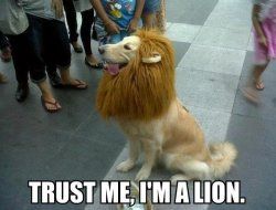 trust_me_i_am_a_lion.jpg