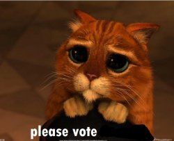 please vote.jpg