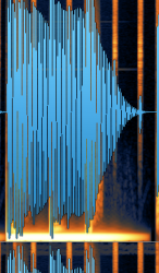 IQ.png
