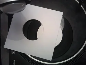 vinylthief.webp