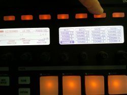 04-PadRootNote.jpg