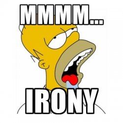 homer irony.jpg