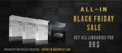 blackfriday-2014-MASTER-VI-CONTROL.jpg