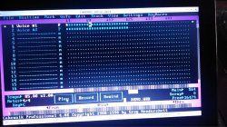 cakewalk1990.jpg