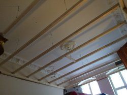 IMG_0875.jpg