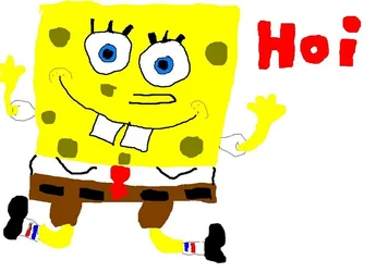 sponge-hoi.webp